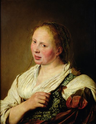 Painting of the Young Peasant by Salomon de Bray